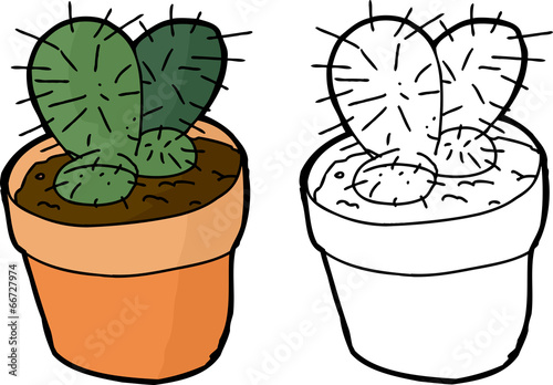 Cactus Plant