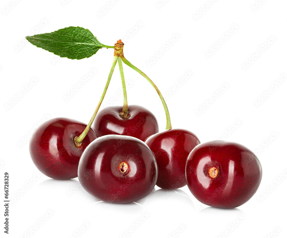 Sweet ripe cherry, berries isolated on white background Sweet ripe cherry, berries isolated on white background