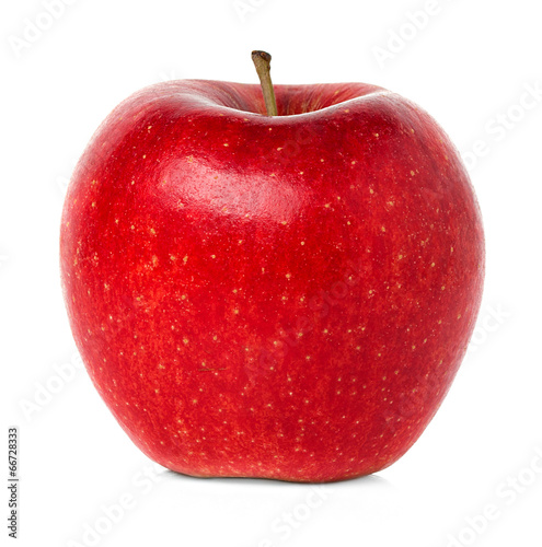 Red apple on white background