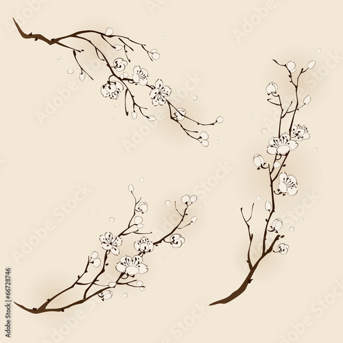 Fototapeta Naklejka Na Ścianę i Meble -  Plum blossom with line design in three different compositions.