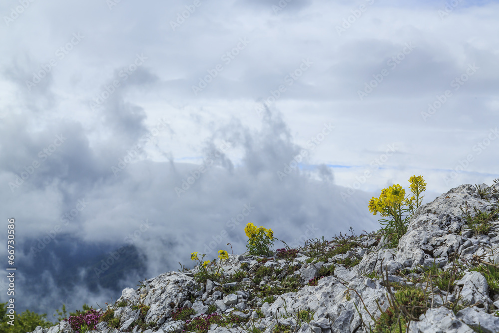 Beautiful mountain scenery in the Alps in summer Beautiful mountain scenery in the Alps in summer
