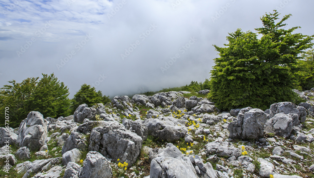 Beautiful mountain scenery in the Alps in summer and clouds Beautiful mountain scenery in the Alps in summer and clouds