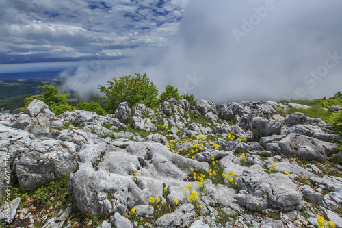 Beautiful mountain scenery in the Alps in summer and clouds © Calin Tatu