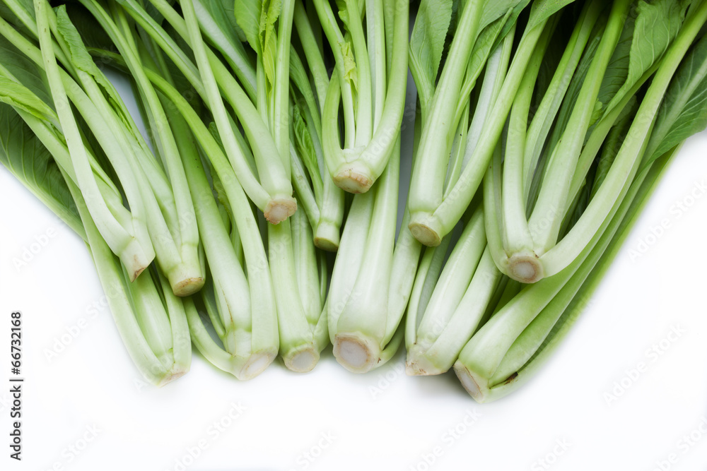 choy sum vegetable pile close up on white background choy sum vegetable pile close up on white background