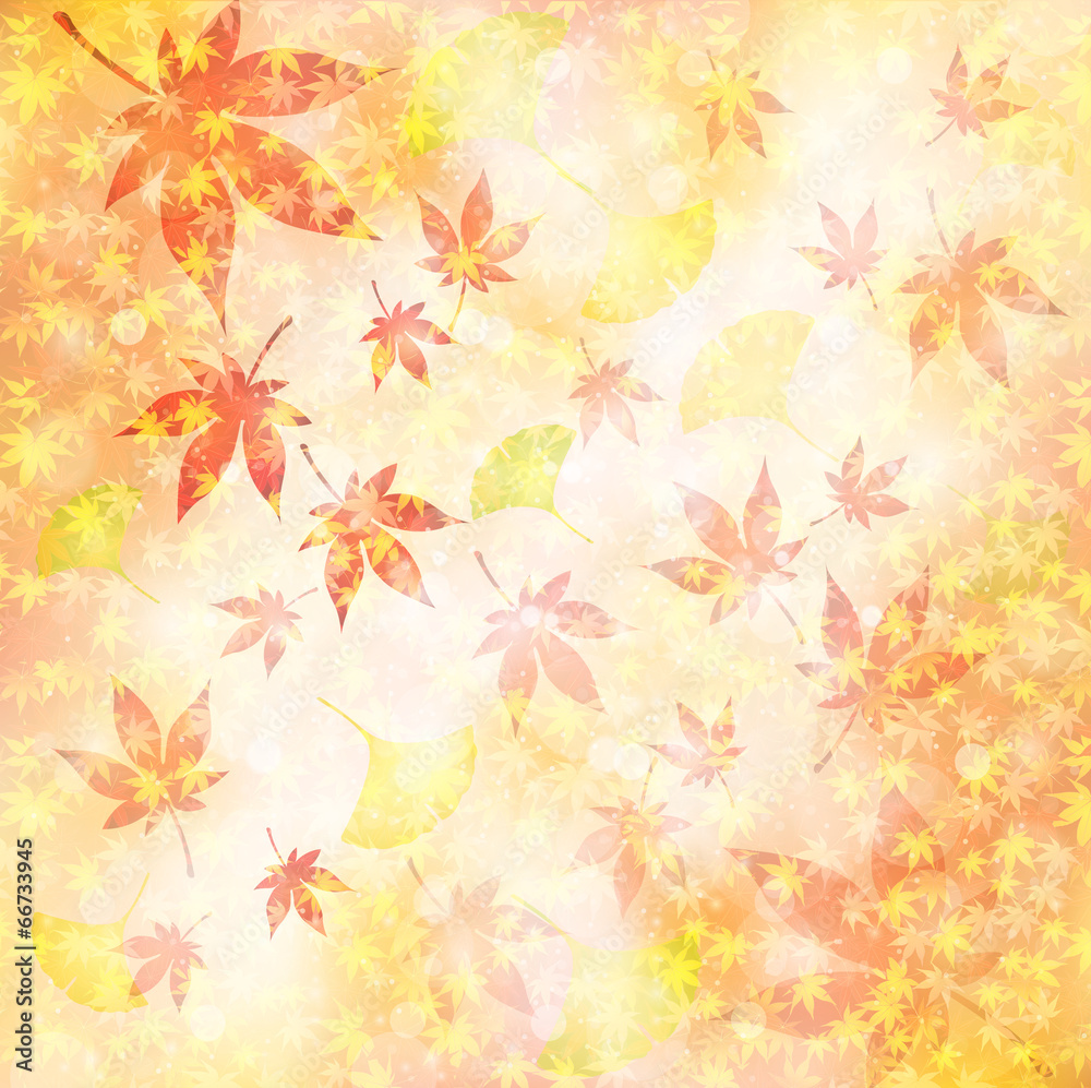 もみじ 紅葉 背景 もみじ 紅葉 背景