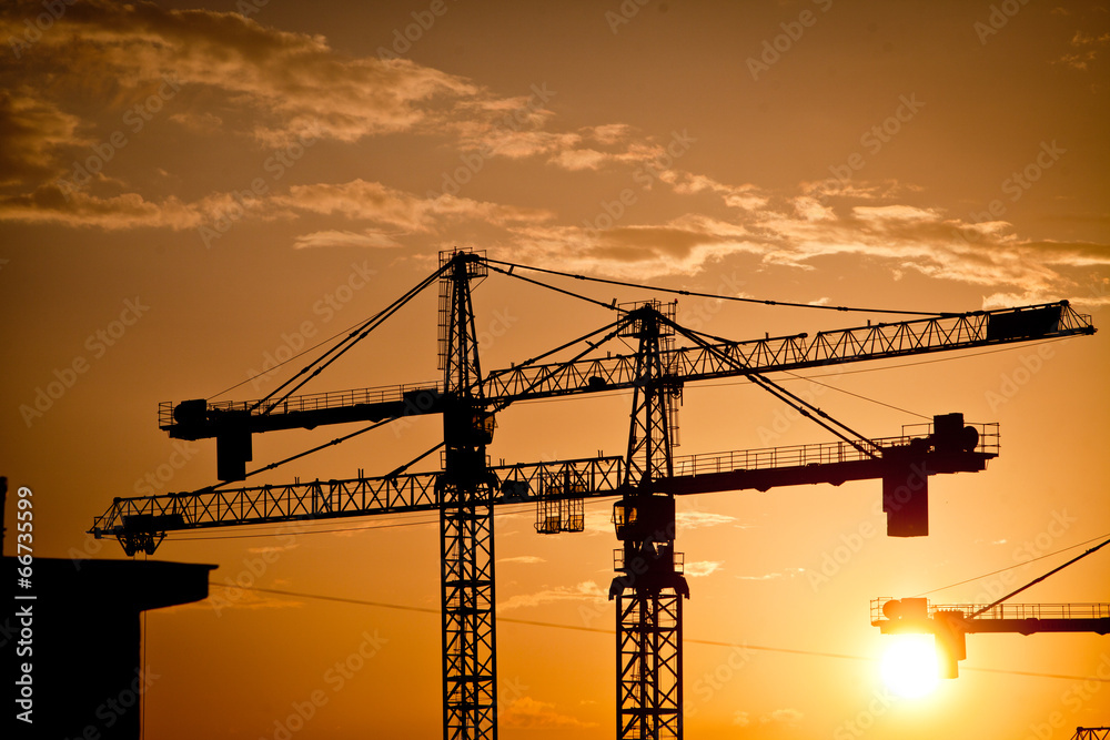Cranes at dusk Cranes at dusk