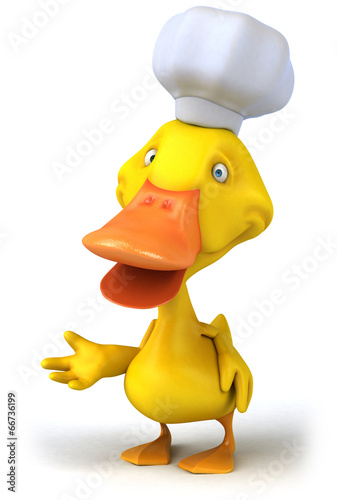 Duck