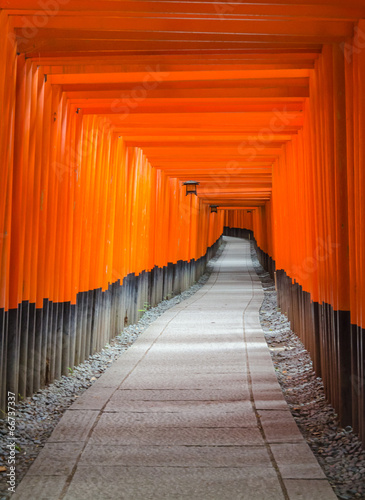 Fushimi Inari-taisha shrine in Kyoto