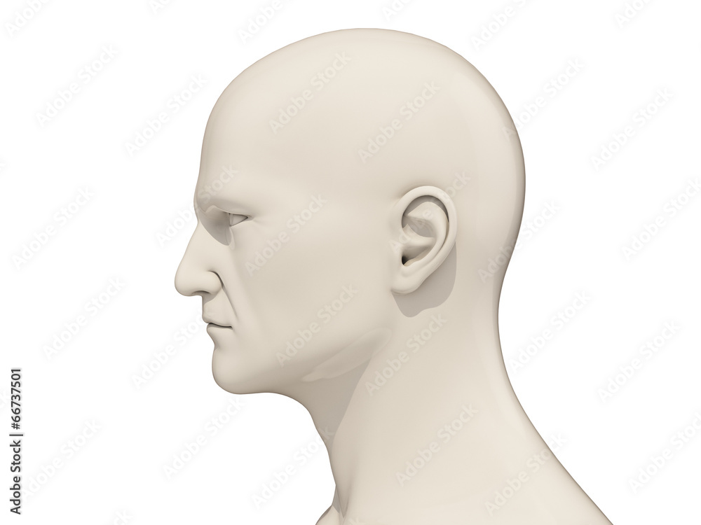 Human head isolated Human head isolated