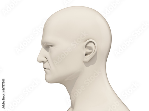 Human head isolated