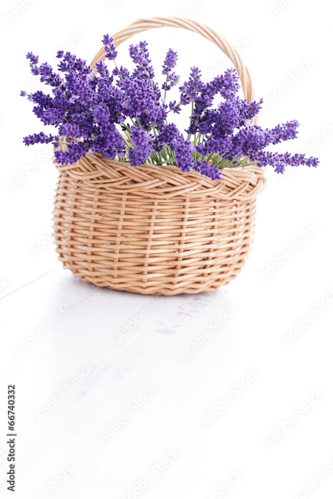 basket of lavender basket of lavender