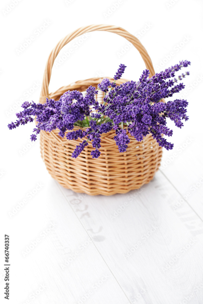Fototapeta premium basket of lavender