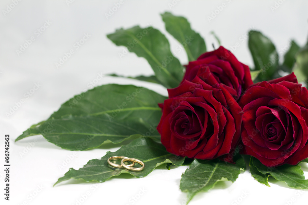 Fototapeta premium wedding rings