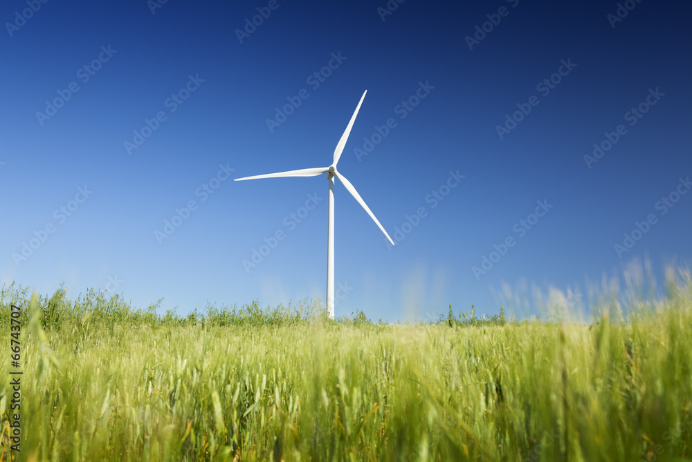 Wind turbine in green field Wind turbine in green field