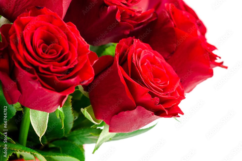 Fototapeta premium bouquet of red roses on a white background