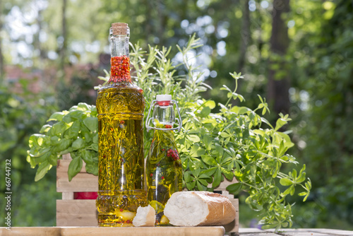 herbs in olive oil bottles
