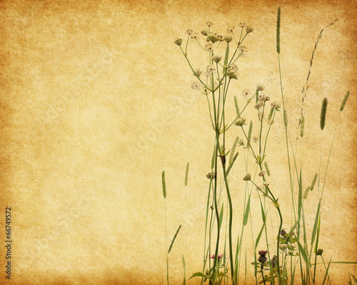 Grunge image with blooming wildflowers. Added paper texture