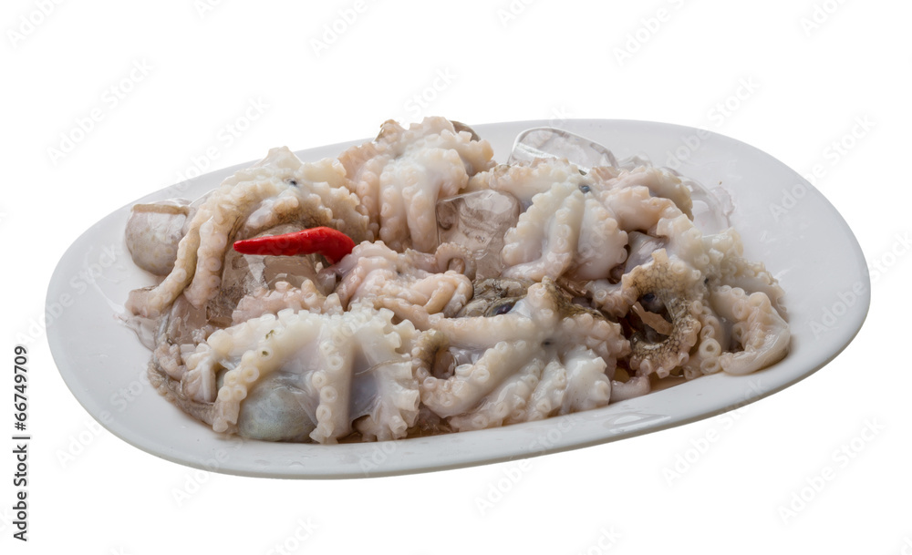 Raw octopus Raw octopus