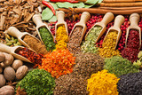 composition with different spices and herbs