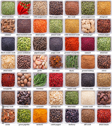 large collection of different spices and herbs