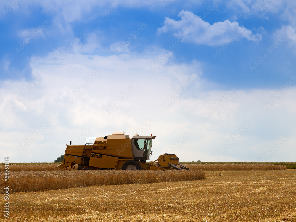 Fototapeta premium Mähdrescher