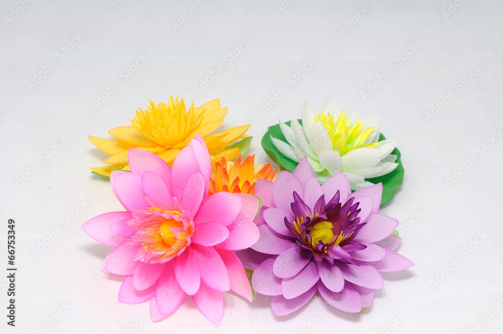 Many colorful artificial lotus, home decoration
