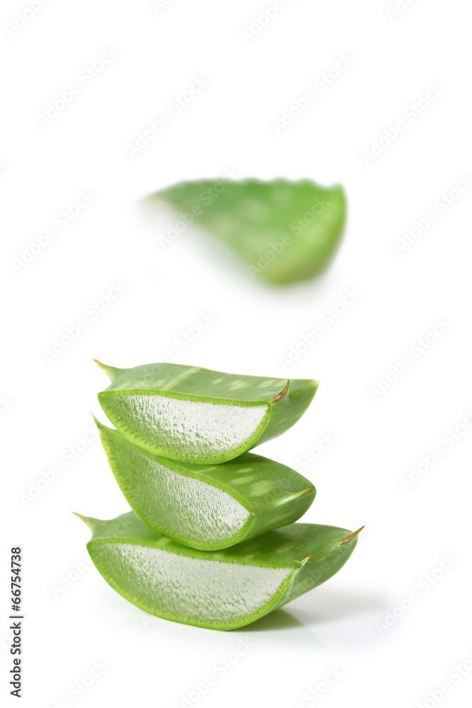 aloe vera aloe vera