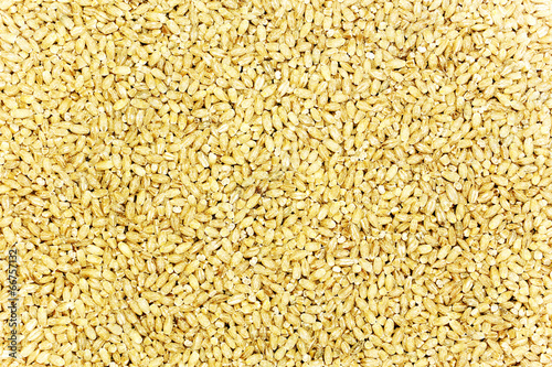 Pearl barley as background