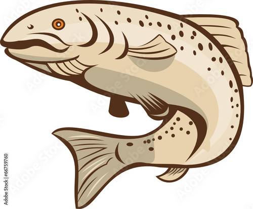Rainbow Trout Jumping Cartoon