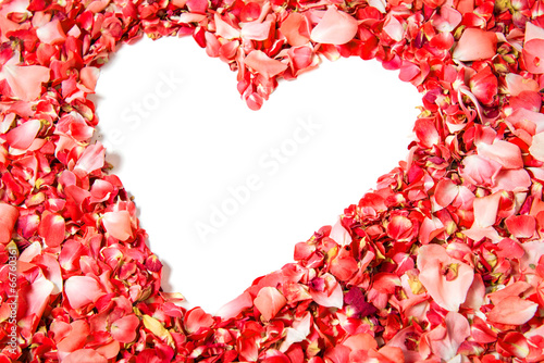 Red rose petals in shape of heart with space for text