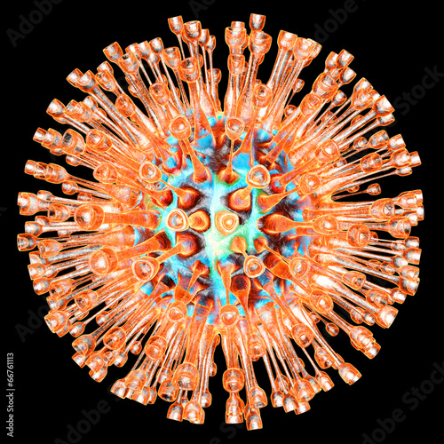 Herpes Virus.