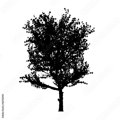 red apple tree silhouette