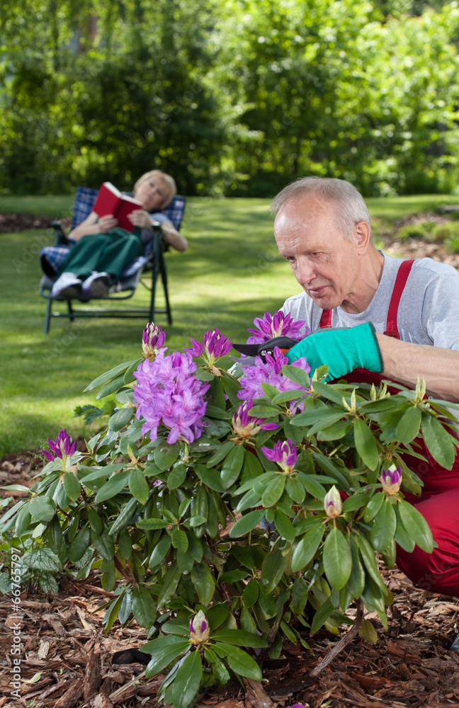 Man cares for flowers while his wife is resting