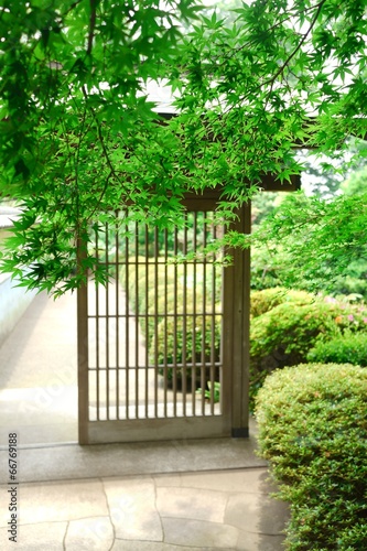 新緑の入り口