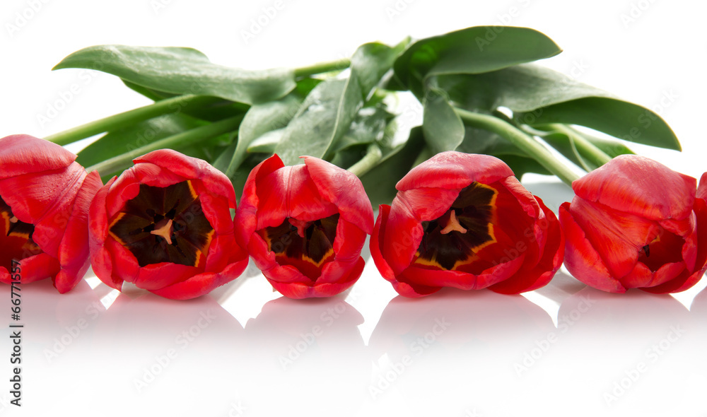 Beautiful spring tulips bunch Beautiful spring tulips bunch