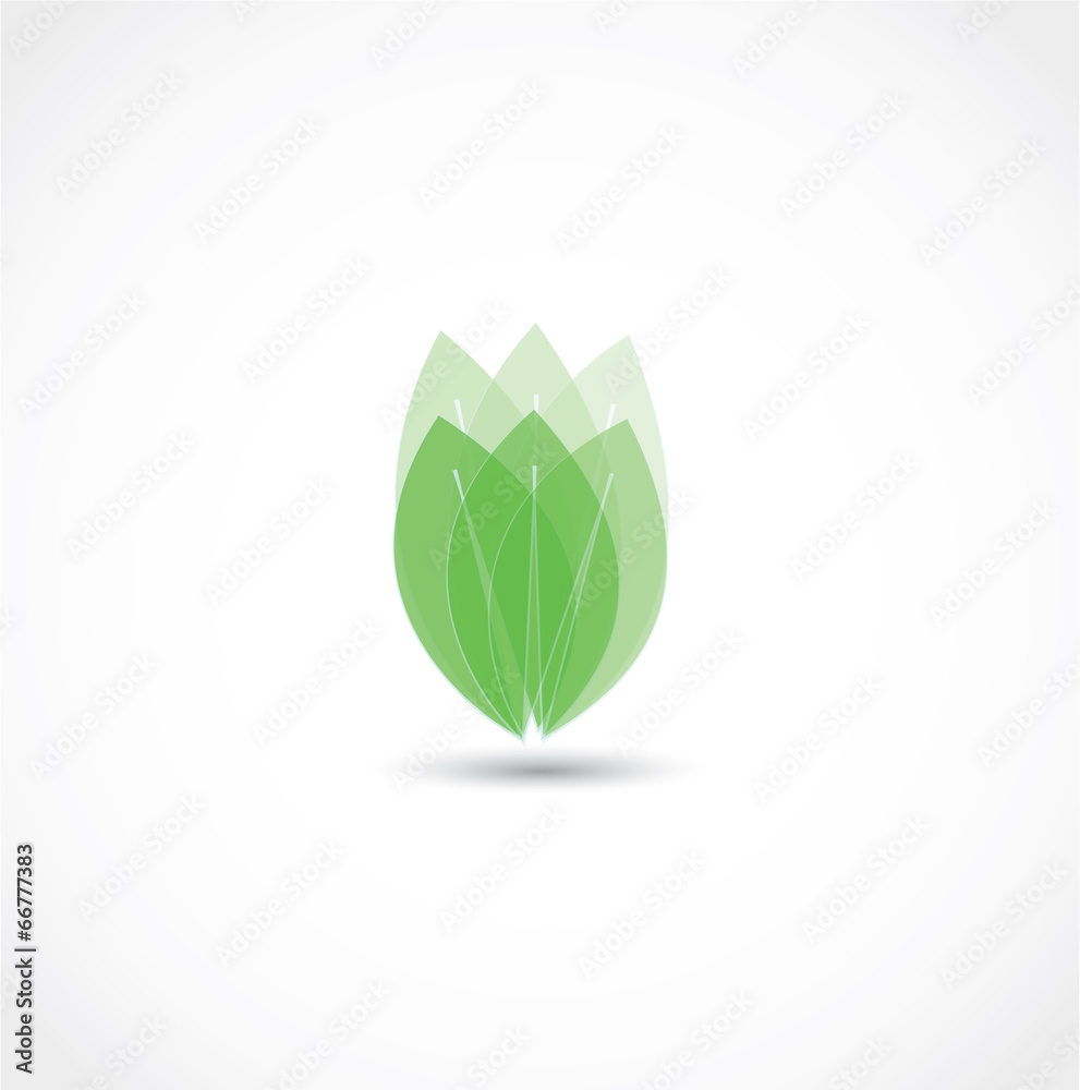 leaf icon vector leaf icon vector