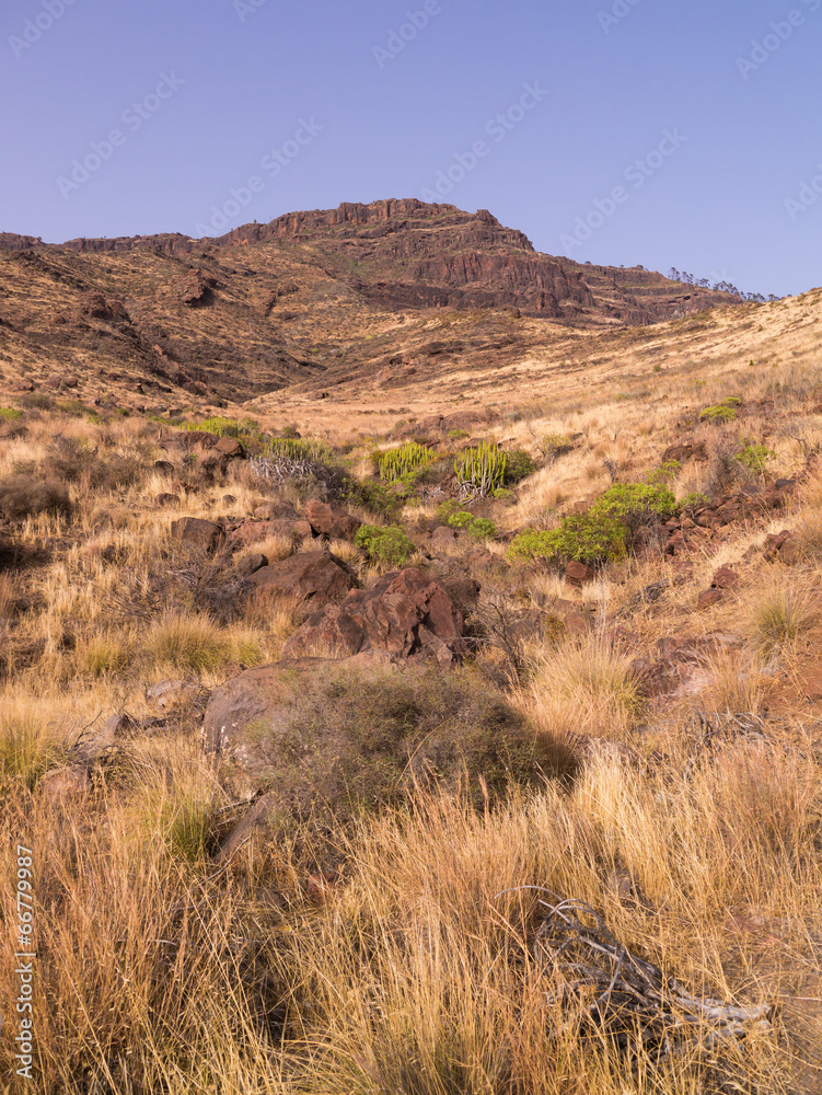 Vulkanisches Gebirge auf Gran  Canaria