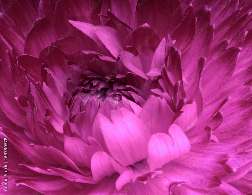 Naklejka premium Abstract flower