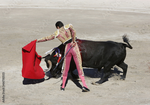 Bullfighter and bull