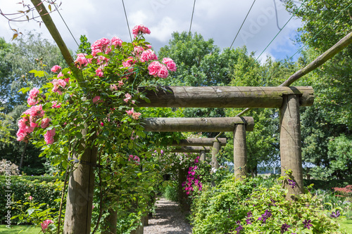 Ornamental garden with pergola and rosa