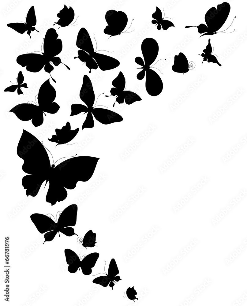 Fototapeta premium butterflies design