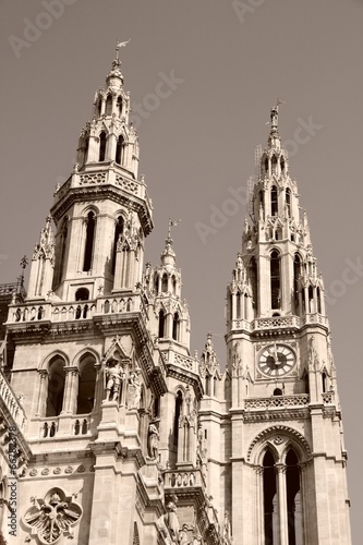 Vienna City Hall - sepia image