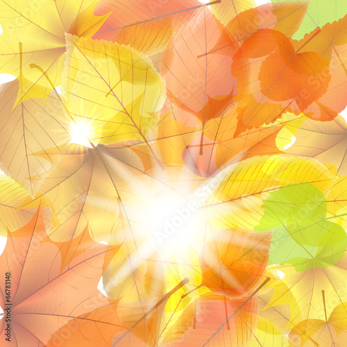Autumn background with maple leaves. plus EPS10