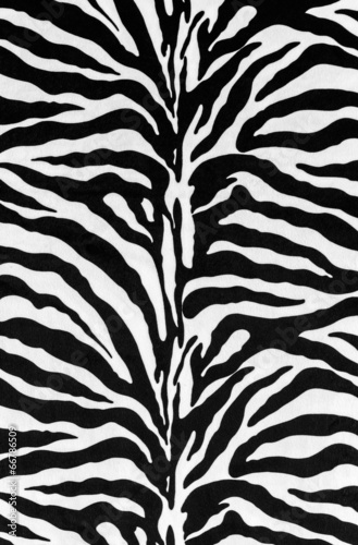 texture of zebra skin