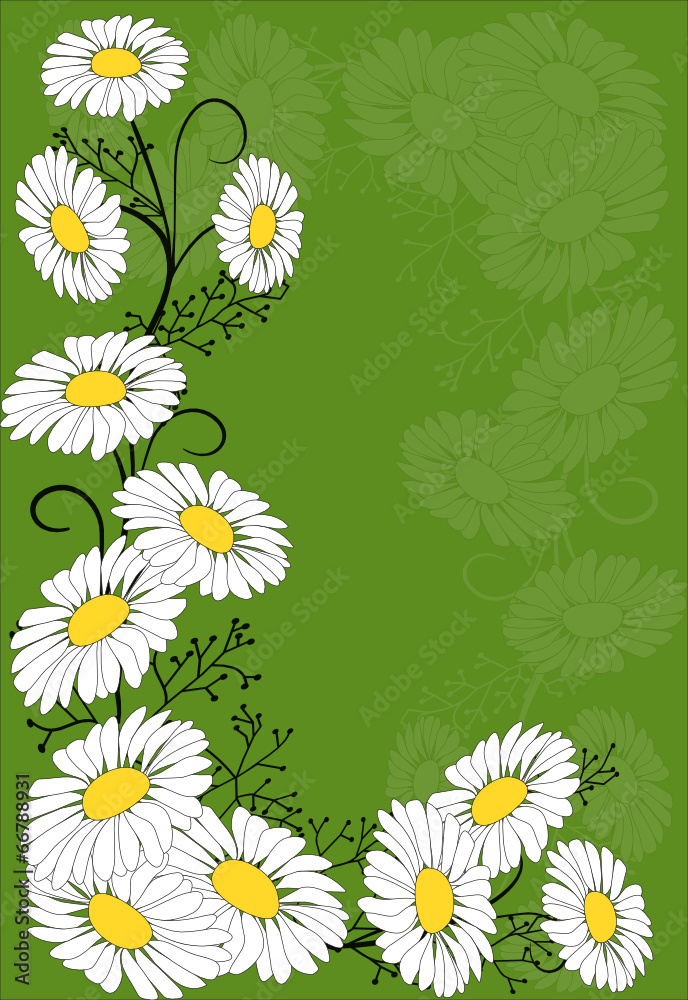 rahmen,floral,kamille,grün,blume,silhouette,schnörkel rahmen,floral,kamille,grün,blume,silhouette,schnörkel