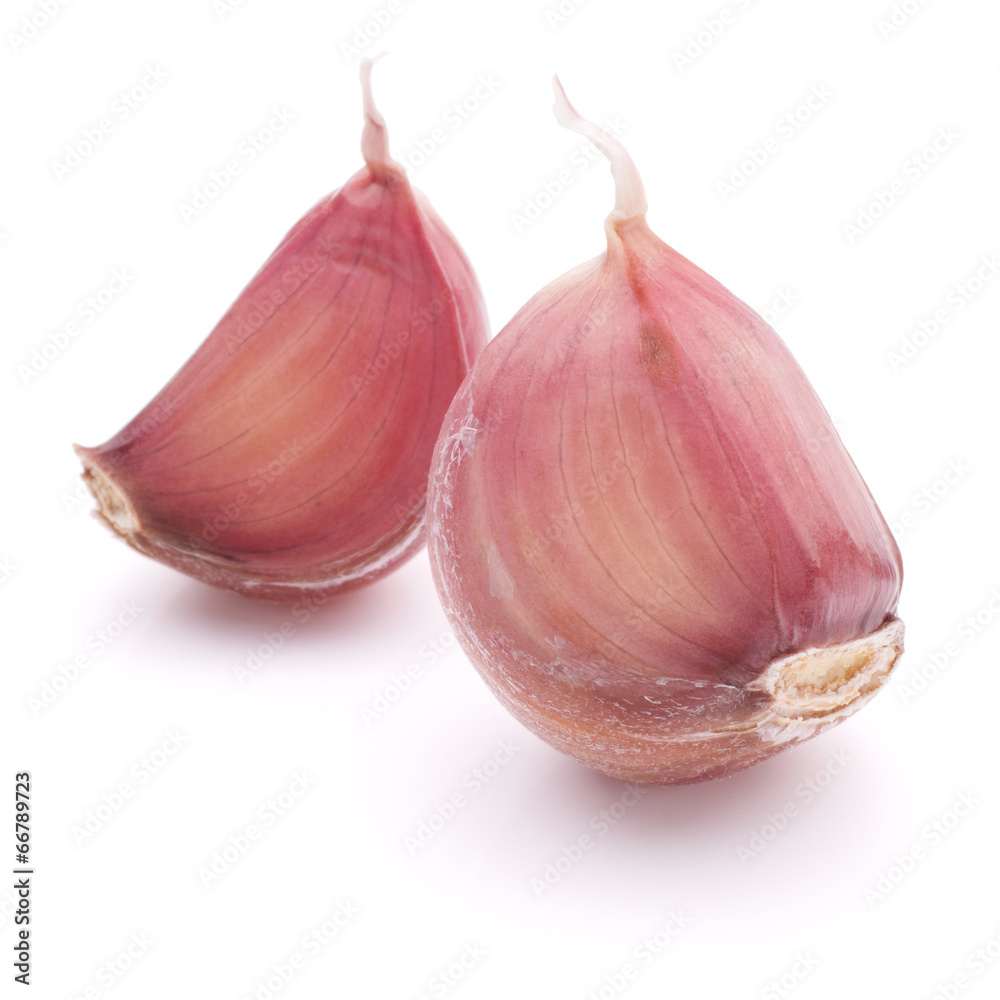 Fototapeta premium Garlic clove isolated on white background cutout