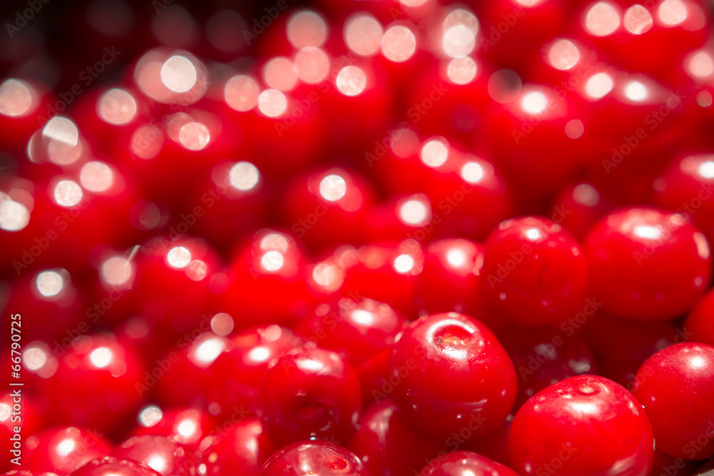 Colorful Display Of Red Cherries Close Up In Fruit Market Colorful Display Of Red Cherries Close Up In Fruit Market