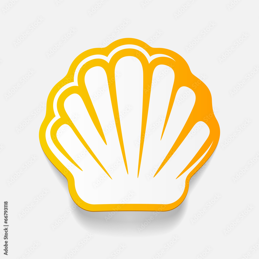realistic design element: shell