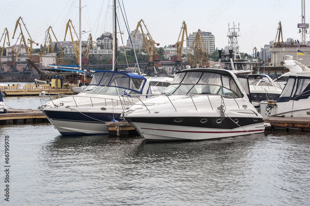 Fototapeta premium yachts