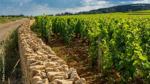 Foto clos de Bourgogne